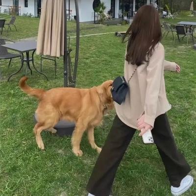 四坪半恋人